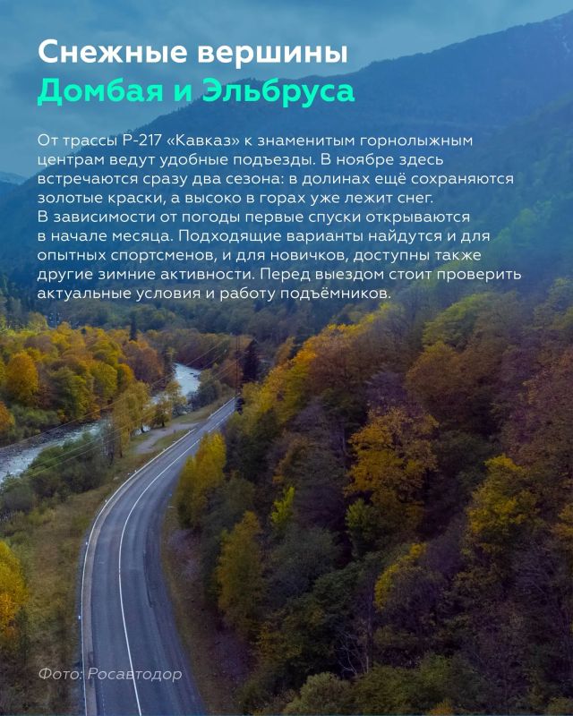 А что, если немного продлить золотую осень? А что, если немного продлить золотую осень?