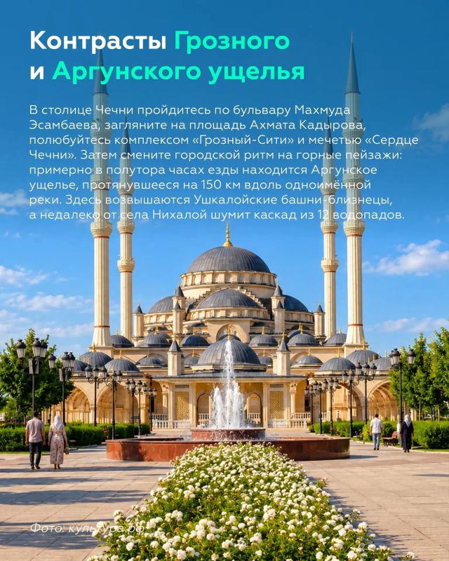 А что, если немного продлить золотую осень? А что, если немного продлить золотую осень?
