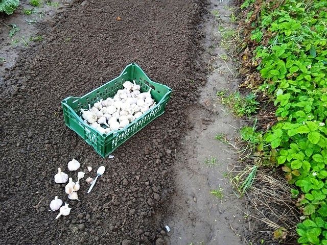 ������� �������� ������� ������� �������: ����� � ��� ��� ������� ���������