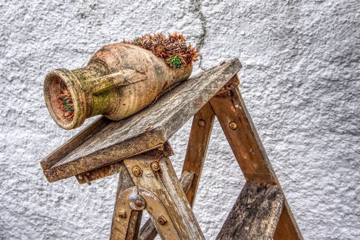 ��������� � ����: 5 ��������� ������, ����� ������� �� � ��������