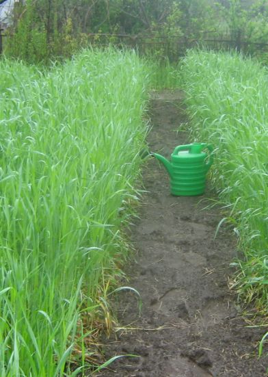 �������� ������ ������������: ����������� ������� ��� ������ ����