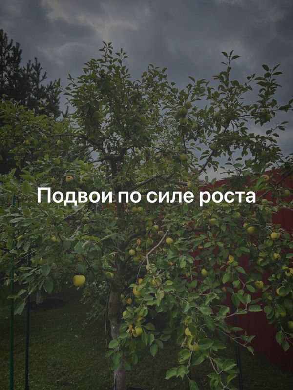 ��� ������� ������ ��� �������� ��������: �������� ������ � ��������������